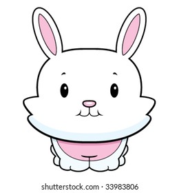 Baby Bunny