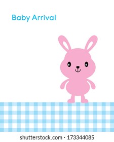 baby bunny arrival