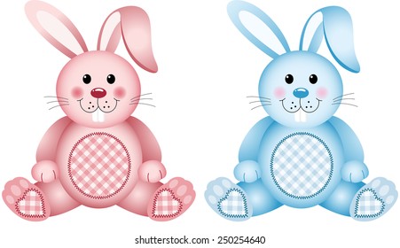Baby bunny pink And blue