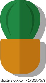 Baby cactus in a pot, illustration, vector on white background.