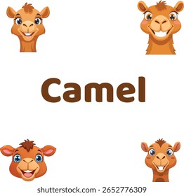 Baby camel with smiling cute face