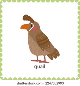 baby card with quail flat vector illustration

