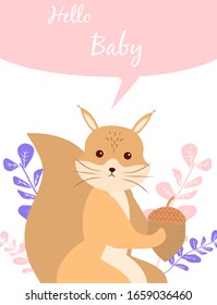Baby cards for Baby shower.  Squirrel. Postcard or party templates in blue and pink with charming animals.
