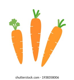 Baby carrot icons isolated on white background vector illustration. Cute cartoon food.