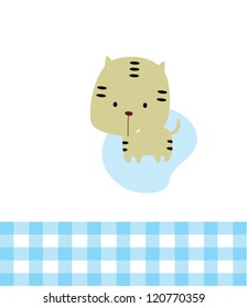 baby cat