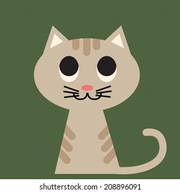 Baby cat