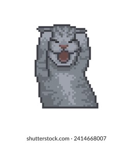 baby cat crying, pixel art meme