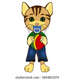 baby cat with a pacifier in his mouth and holding a ball in his hands, vector emoticon on white isolated background