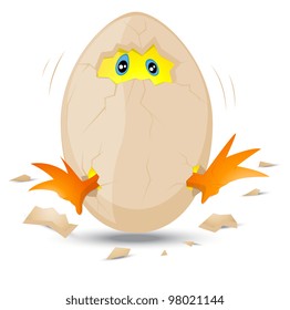 Baby Chick in Egg