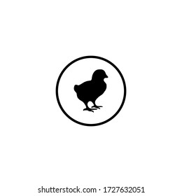 baby chick graphic element Illustration template design