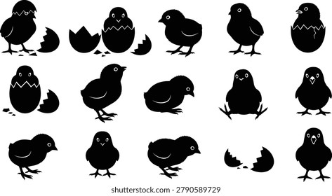 Baby chick hatching egg silhouette collection with standing bird poses