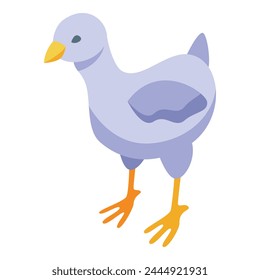 Baby chick icon isometric vector. Egg bird. Small farm