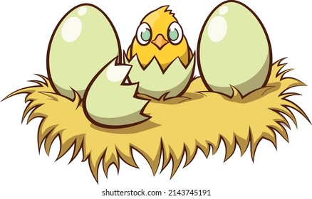 a baby chick just hatched