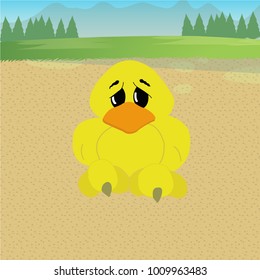 Baby chick in sand