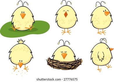 Baby Chick Set