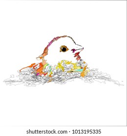 Baby chick sketch on white background,EPS10.
