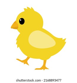 Baby chick vector flat icon. Baby chick emoticon isolated on white background.Popular chat elements. Trending emoticon.