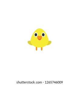Baby chick vector isolated flat icon