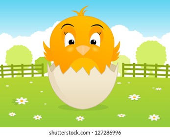  Baby Chicken