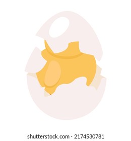 Baby chicken birth from egg. Hatching bird process. Flat vector illustration can be used for farming, poultry, Easter
