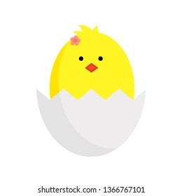 Baby chicken in egg. Vector easter illustration. Yellow chicken in eggshell.