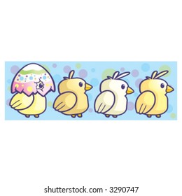 Baby Chicks