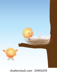 baby chicks first flight