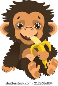 А сute baby chimp sits and eats a delicious yellow banana. African rainforest fauna. Vector illustration. Cartoon style.