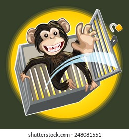 Baby Chimpanzee Breaking A Cage