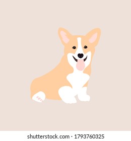 Baby corgi. Cute cartoon corgi,  vector illustration.