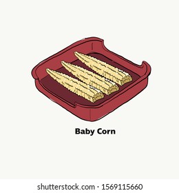 Baby corn Drawing illustration vector. bbq grill. Hot pot ingredient
