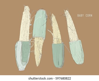 baby corn . hand drawn , sketch line art vector.