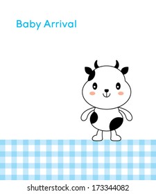 baby cow arrival