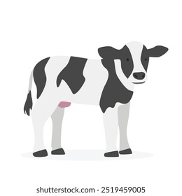 Baby cow calf simple vector illustration. Holstein calf cartoon clipart, animal in flat style. Farm animals concept, rural farming. Livestock animal baby cow vector design isolated on white background