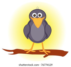baby of crow on a branch