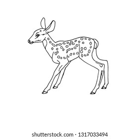 Baby deer contour