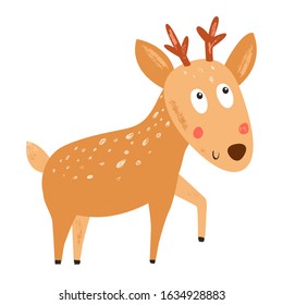 Baby deer. Fawn. Cute baby animal. Vector Hand Drawn kids cartoon character. Nursery art background. Isolated. Childish illustration. 