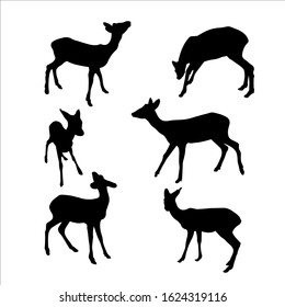 Baby deer vector silhouettes icon illustration sign isolated on white background for eco banner, encyclopedia, animal application site. Set of silhouettes of a young deer in different poses.