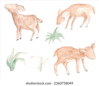 Baby Deer Watercolor Illustration Set