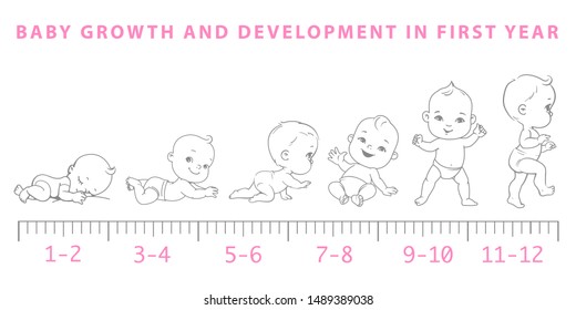 Baby  development. Baby growth from newborn to toddler scale.  First year. Cute boy or girl of 0-12 months. Design template. Vector color illustration. 