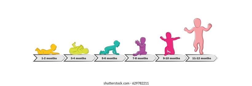 El Desarrollo De Los Bebés Etapa Los Hitos Primero Un Año . Cronología de hitos secundarios de la ilustración vectorial del primer año