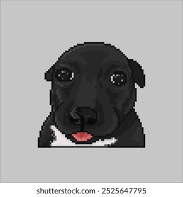 Cachorro de bebê ​ ​com rosto engraçado, ilustração de arte pixel