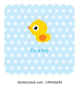 baby duck boy arrival