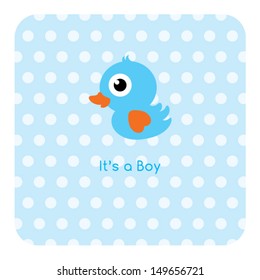 baby duck boy arrival