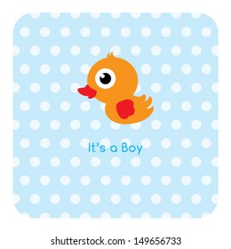 baby duck boy arrival