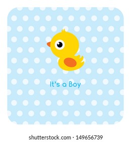 baby duck boy arrival