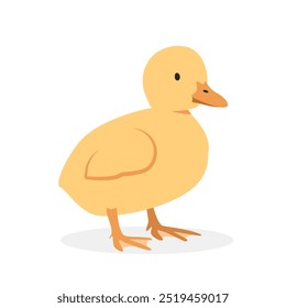 Ilustración vectorial de pato bebé. Clipart amarillo lindo de la historieta del patito, animal en estilo plano. Concepto de animales de granja, agricultura rural. Diseño de Vector de pato bebé de aves de corral de ganado aislado en blanco