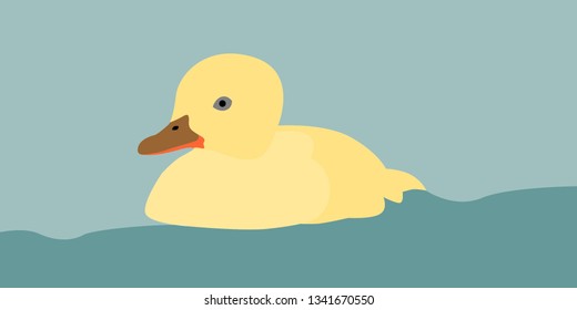 Baby Duck Swimming, Illustration