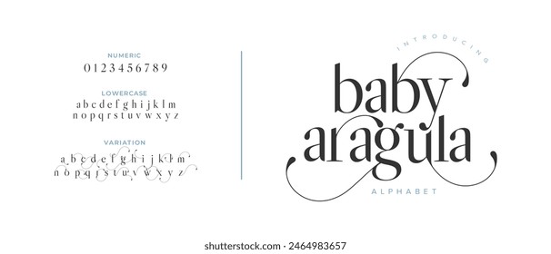 Baby elegant font alphabet uppercase lowercase and number. Classic lettering minimal fashion designs. Typography modern serif fonts regular decorative vintage concept. Vector illustration