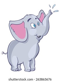Baby elephant